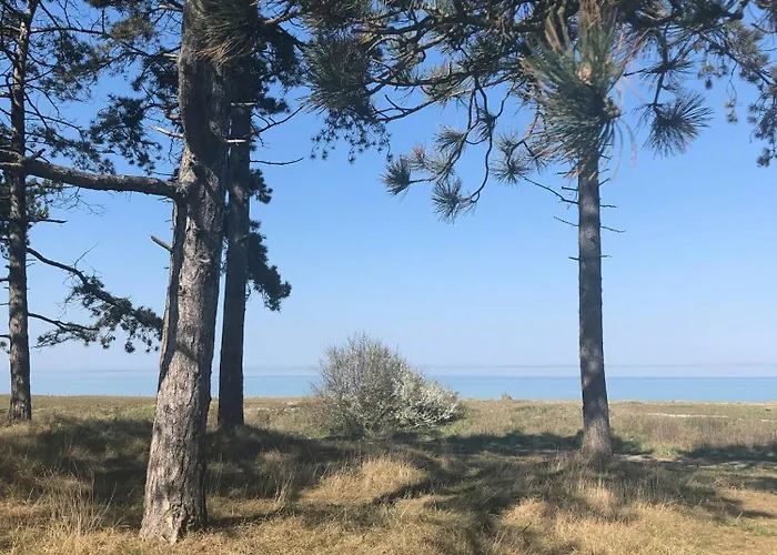 Stylish Summer House By Knudshoved Lighthouse 別荘 *