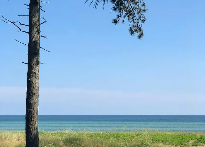 別荘 Stylish Summer House By Knudshoved Lighthouse *